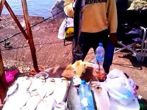 Ψάρεμα Μουδανιά
