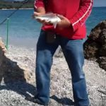Βίντεο αναγνωστών: ΨΑΡΕΜΑ ΤΣΙΠΟΥΡΑΣ 2012
