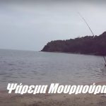Ψάρεμα Μουρμούρας