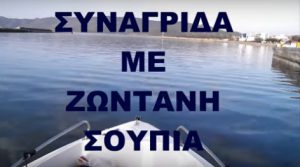 ΨΑΡΕΜΑ ΣΥΝΑΓΡΙΔΑΣ ΜΕ ΖΩΝΤΑΝΗ ΣΟΥΠΙΑ ΨΑΡΕΜΑ ΣΥΝΑΓΡΙΔΑΣ ΜΕ ΖΩΝΤΑΝΗ ΣΟΥΠΙΑ
