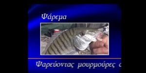 Το ψάρεμα της Μουρμούρας Το ψάρεμα της Μουρμούρας