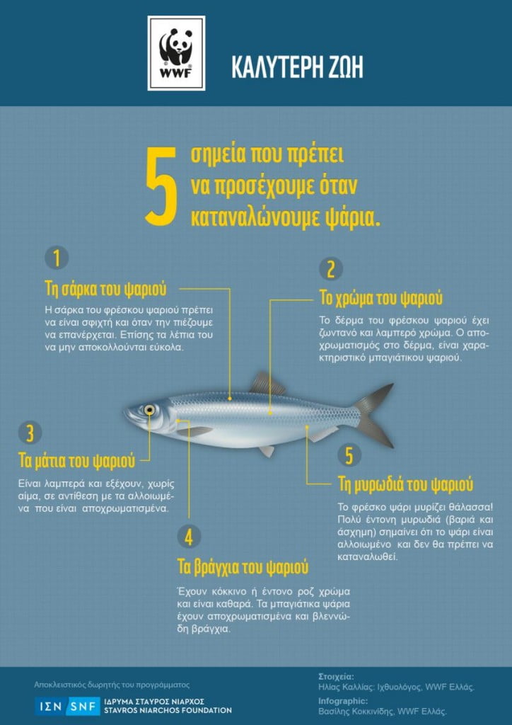 Ψάρια: τι να προσέχουμε όταν τα καταναλώνουμε