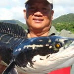 Frankenfish: Το ψάρι-τέρας που αναπνέει οξυγόνο και βγαίνει στην στεριά