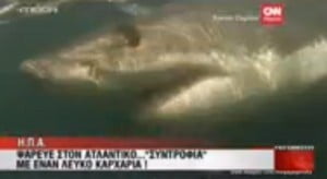 Ψάρεμα παρέα με… καρχαρία! Ψάρεμα παρέα με… καρχαρία!