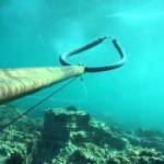 Υποβρύχιο ψάρεμα λαβράκι