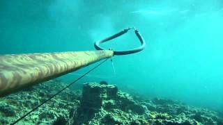 Υποβρύχιο ψάρεμα λαβράκι