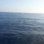 Τρεις νεκροί σε ναυάγιο ψαράδικου στην Ερμιόνη