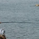 Έδινε – με το αζημίωτο – «άδειες» για …παράνομο ψάρεμα!