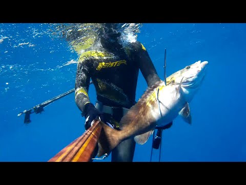 Ψαροντούφεκο με Κρητική Λύρα 2015 – Spearfishing  2015