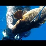 No time for caution for the grouper – 42m (spearfishing – pescasub – ψαροντούφεκο)