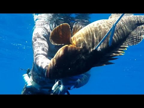 No time for caution for the grouper – 42m (spearfishing – pescasub – ψαροντούφεκο)