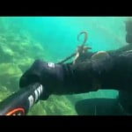 Ψαροντούφεκο χταπόδι 2015-octopus in Greece 2015
