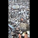 Ψάρεμα λαβράκι με wtd…!!! (C&R)