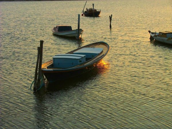 ΟΧΙ Φόρος Πολυτελούς Διαβίωσης στα παραδοσιακά ξύλινα σκάφη της λιμνοθάλασσας Μεσολογγίου – Αιτωλικού