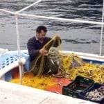 Απαγόρευση αλιείας στον τεχνητό ύφαλο Κίτρους