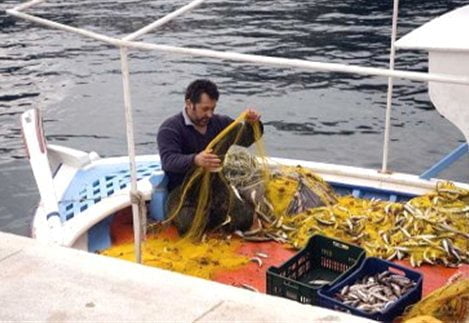 Απαγόρευση αλιείας στον τεχνητό ύφαλο Κίτρους