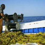 Μέχρι 31 Μαρτίου απαγορεύεται η αλιεία ξιφία στα Χανιά