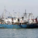 Στο ΣτΕ η αλιεία με βιντζότρατες