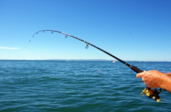 Απαγόρευση αλιείας σε παραλίες του Σαρωνικού