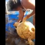 Φρίκη! Ψαράς κακοποίησε θαλάσσια χελώνα