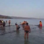 Το ψάρεμα πήρε απρόβλεπτη τροπή – Σήκωσαν τα δίχτυα και έμειναν έκπληκτοι