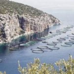 ΤΑ ΨΑΡΙΑ ΜΠΟΡΟΥΝ ΝΑ δώσουν ώθηση στην ελληνική οικονομία