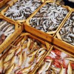 Οι πολίτες της Μεσογείου θέλουν μία πιο βιώσιμη αγορά αλιευμάτων