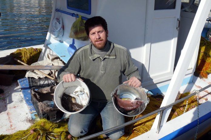 Η δραστική μείωση των ψαριών οδηγεί σε αδιέξοδο και τον κλάδο των αλιέων