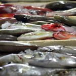 Κατασχέθηκαν 138 κιλά αλιεύματα μεταξύ Λέρου και Λειψών