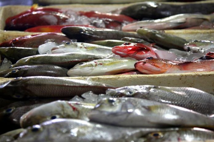 Κατασχέθηκαν 138 κιλά αλιεύματα μεταξύ Λέρου και Λειψών