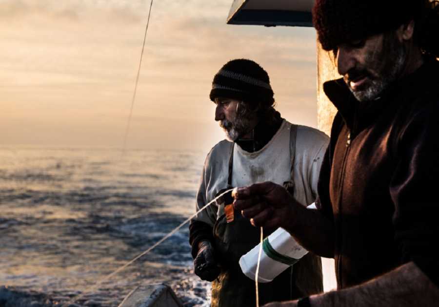ΟΠΕΚΕΠΕ: Το χρονοδιάγραμμα για τις αιτήσεις πληρωμών στην αλιεία