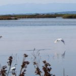 Αμβρακικός: Το Ζεστό Φιορδ Της Ελλάδας
