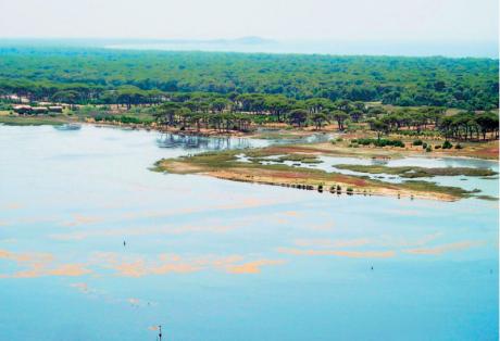 Ηλεία: Με γοργούς ρυθμούς προχωρά η οριοθέτηση της λιμνοθάλασσας Κοτυχίου