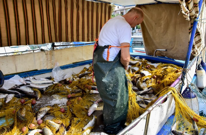 Απίστευτη ψαριά στο Ναύπλιο: Έπιασε δυο τόνους κέφαλους (Βίντεο και φωτό)
