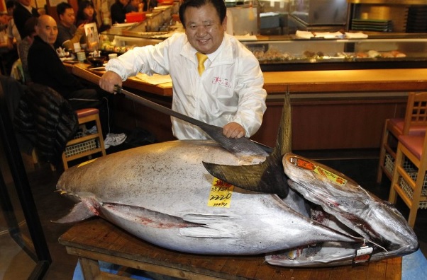 Θα δίνατε 600.000 ευρώ για να αγοράσετε ένα ψάρι τόνο;