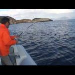 Η τεχνική της συρτής με μολύβι φύλακα