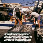 Τα αποθέματα αλιευμάτων μειώνονται, όμως έχουμε τη δύναμη να το σταματήσουμε.