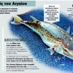 Μέτρα της Κομισιόν για τον λαγοκέφαλο