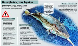 Μέτρα της Κομισιόν για τον λαγοκέφαλο Μέτρα της Κομισιόν για τον λαγοκέφαλο