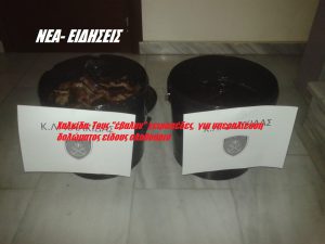 Χαλκίδα: Τους “έβαλαν” χειροπέδες, για υπεραλίευση δολώματος είδους ολοθούριο Χαλκίδα: Τους “έβαλαν” χειροπέδες, για υπεραλίευση δολώματος είδους ολοθούριο