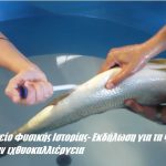 Μουσείο Φυσικής Ιστορίας- Εκδήλωση για τα ψάρια και την ιχθυοκαλλιέργεια