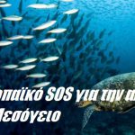 Ευρωπαϊκό SOS για την αλιεία στη Μεσόγειο