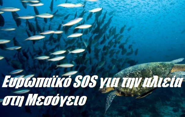 Ευρωπαϊκό SOS για την αλιεία στη Μεσόγειο