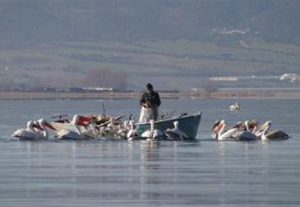 Απαγόρευση αλιείας στα εσωτερικά ύδατα Πιερίας ως 7 Ιουνίου Απαγόρευση αλιείας στα εσωτερικά ύδατα Πιερίας ως 7 Ιουνίου