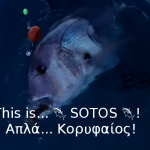 This is… 🐟 SOTOS 🐟! “Συναγρίδες στα βαθιά”