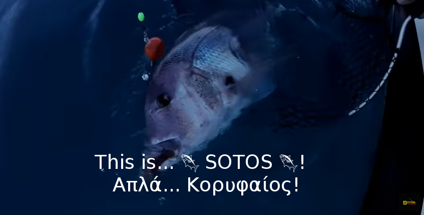 This is… 🐟 SOTOS 🐟! “Συναγρίδες στα βαθιά”