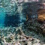 Στην τελική ευθεία το καταδυτικό πάρκο Αποκορώνου