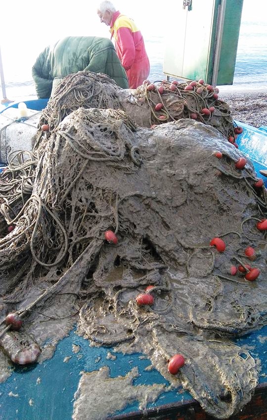 Προβληματισμός σε αλιείς από την εμφάνιση φυτοπλαγκτού