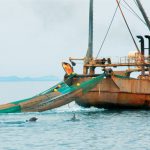 Τι απαντούν οι επαγγελματίες της αλιείας για την υπεραλίευση