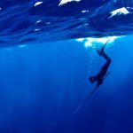 “Καμπάνα” 6 μηνών σε ψαροντουφεκά